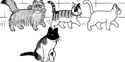 �Ϥ��Ϥ� 126