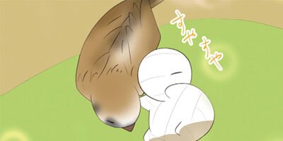 �ߥ���λ����� 41�ڥե륫�顼��