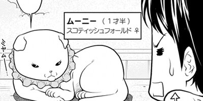 �ߤ�ʼ�ʬ���Υͥ��������Ф󥫥磻���ȻפäƤ��Ǥ��硩 22