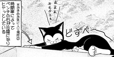 �ߤ�ʼ�ʬ���Υͥ��������Ф󥫥磻���ȻפäƤ��Ǥ��硩 23