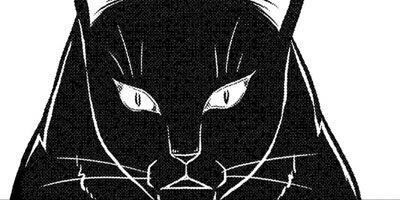 �ߤ�ʼ�ʬ���Υͥ��������Ф󥫥磻���ȻפäƤ��Ǥ��硩 33