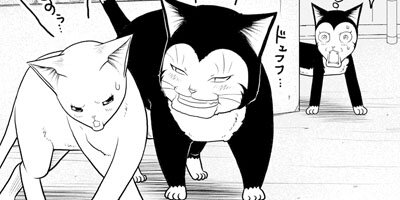 �ߤ�ʼ�ʬ���Υͥ��������Ф󥫥磻���ȻפäƤ��Ǥ��硩 34