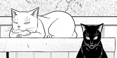 �ߤ�ʼ�ʬ���Υͥ��������Ф󥫥磻���ȻפäƤ��Ǥ��硩 36