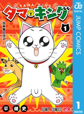 ���ޡ�����