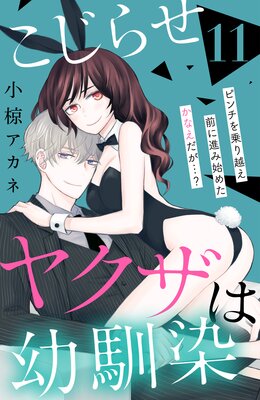 �����餻�䥯���������� ��comic tint�� ʬ���� 11��