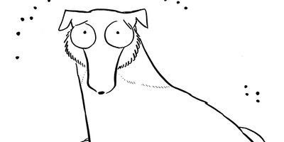 �����ǥ奫���Υߥ��ƥ꡼ 13