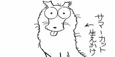 �����ǥ奫���Υߥ��ƥ꡼ 28