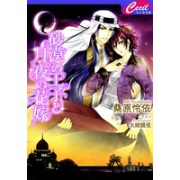 砂漠の王子と月夜の花嫁