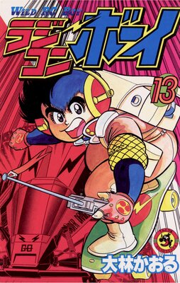 �饸����ܡ��� 13