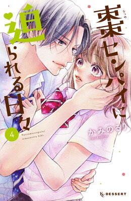 ܧ����ѥ������������� 4��