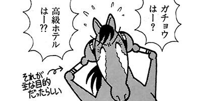 �Ϥʤ�1�ϥ����� 247