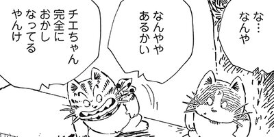 ������ҥ��� ������ 536