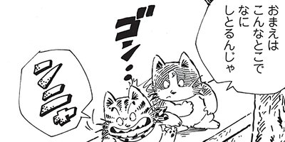 ������ҥ��� ������ 544