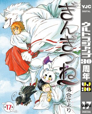 ���󤮤Ĥ� 17