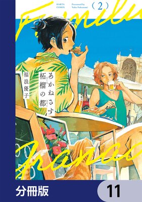 あかねさす柘榴の都【分冊版】 11