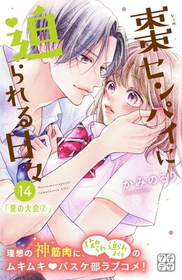 ܧ����ѥ������������� �ץ��ǥ� 14��