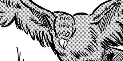 ̾��������� 8