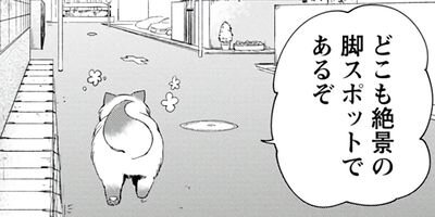 ���Ⱝ���Ϥ��Ƥޤ��� 5