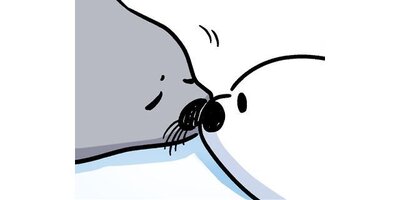 �����륷�����ޡڥ��ƥ����� Chapter12�ڥե륫�顼��