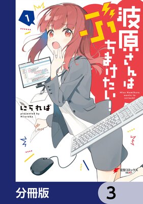 波原さんはぶちまけたい!【分冊版】 3