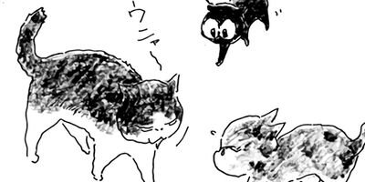 ǭ�ʤ󤫤��Ǥ⤳�ʤ��� 9