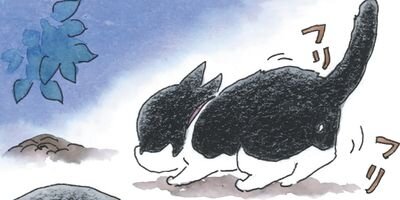 ǭ�ʤ󤫤��Ǥ⤳�ʤ��� 12