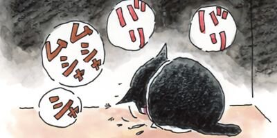 ǭ�ʤ󤫤��Ǥ⤳�ʤ��� 22