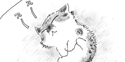 ǭ�ʤ󤫤��Ǥ⤳�ʤ��� 24