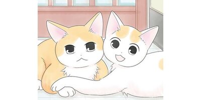 ����ǭ���ʤĤ��ޤ���ڥ��ƥ����� Chapter17�ڥե륫�顼��