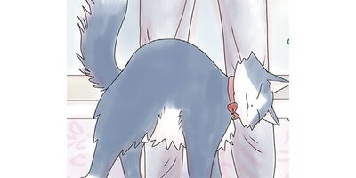 ����ǭ���ʤĤ��ޤ���ڥ��ƥ����� Chapter4�ڥե륫�顼��