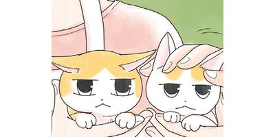 ����ǭ���ʤĤ��ޤ���ڥ��ƥ����� Chapter6�ڥե륫�顼��