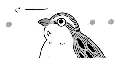 ������Τ����� 3