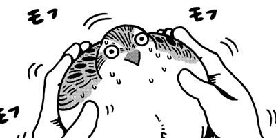 ������Τ����� 5