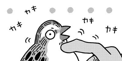 ������Τ����� 8