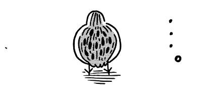 ������Τ����� 9