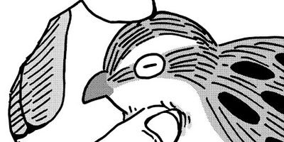 ������Τ����� 11