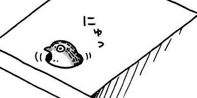 ������Τ����� 12