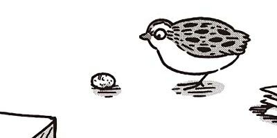 ������Τ����� 17