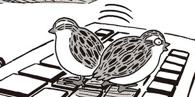 ������Τ����� 19