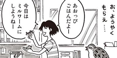 ������Τ����� 24