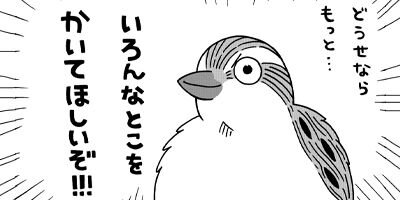 ������Τ����� 30