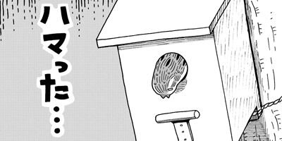 ������Τ����� 31