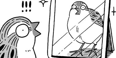 ������Τ����� 35