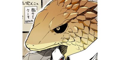 ���եꥫ�Υ���꡼�ޥ�ڥ��ƥ����� Chapter9�ڥե륫�顼��