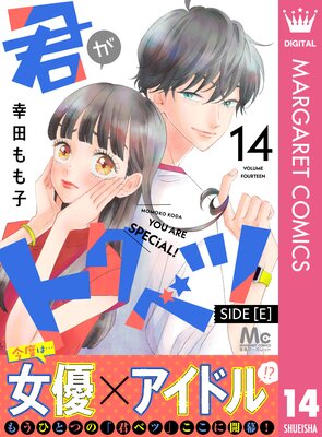 �����ȥ��٥� ʬ���� SIDE ��E�� 14