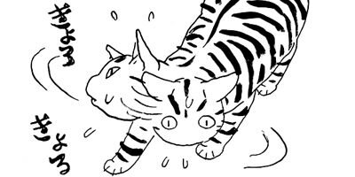 �̤��̤� ǭ�Τ��ޤȻ��Ĥ��� 9