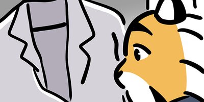 �ͥ��ˤʤꤿ���ȥ餵��� 16 ���䤫�ʤ��Ф����ڥե륫�顼��