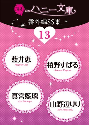 �ϥˡ�ʸ���ֳ���SS��13