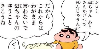 �����󤷤����� 488