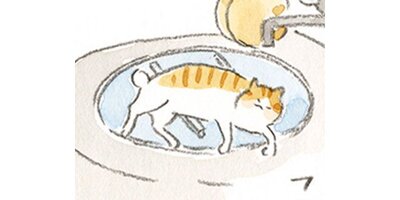 �ͤ��Ȥ��������ڥ��ƥ����� Chapter12�ڥե륫�顼��